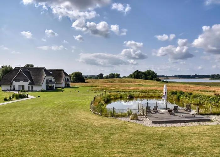 Pfeifente 36 Im Wreecher Idyll Rügen By Ruyastay *